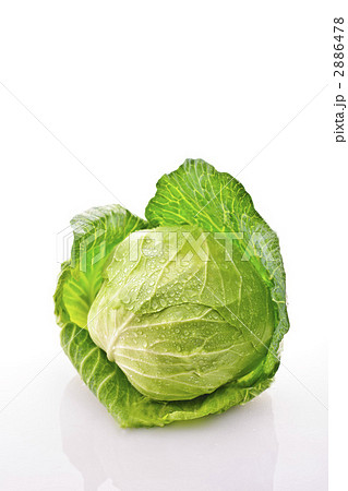 2886478