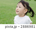 芝生に立つ女の子 2886981