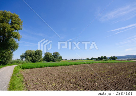 ドイツ　ライヒェナウ島 2887131