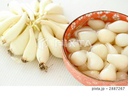 ラッキョウ ラッキョウ 2887267