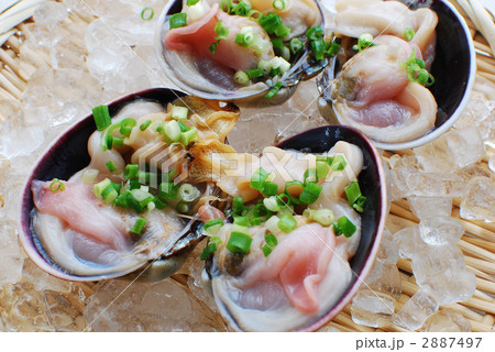 大アサリ（ウチムラサキ） 2887497