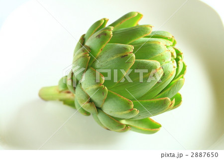 アーティチョーク 2887650