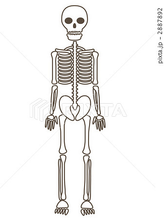 Simple Skeleton Stock Illustration 272