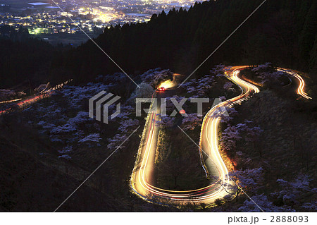 高森峠の千本桜 高森峠の千本桜 2888093