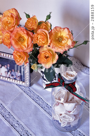 イタリアのバラ 2888159