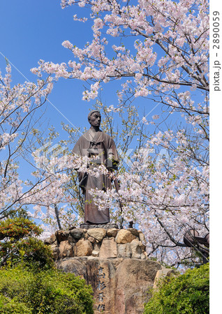 日和山公園の高杉晋作像と桜 日和山公園の高杉晋作像と桜 2890059