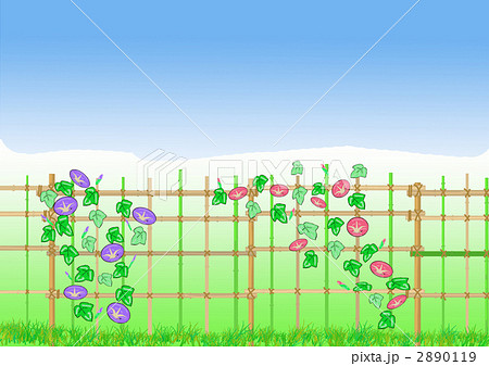 垣根に朝顔のイラスト素材 119