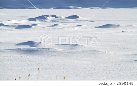 信州女神湖の凍結した湖面と雪 2890149