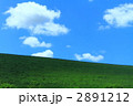 2891212