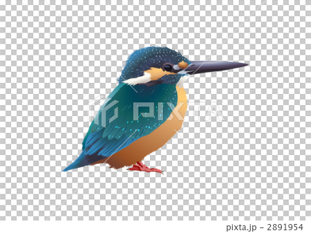 Kingfishers (male) Kingfishers (male) 2891954