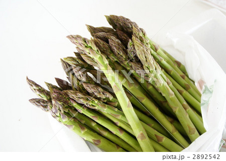 アスパラ アスパラ 2892542