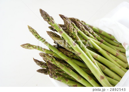 アスパラ 2892543