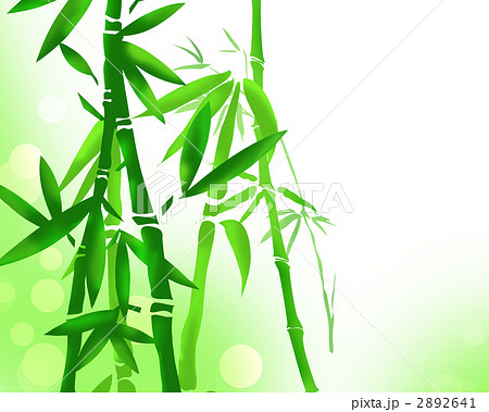 竹 竹やぶ 竹林 たけ タケ 植物 和柄のイラスト素材