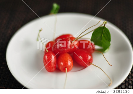 グミの実 2893156