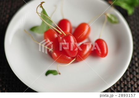 グミの実 2893157