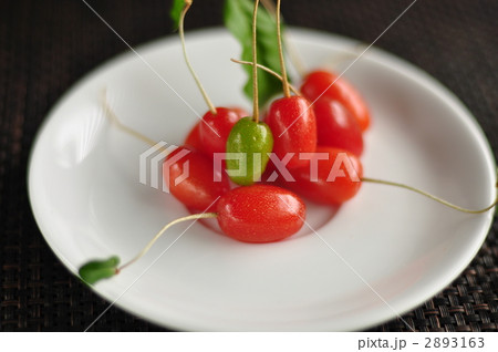 グミの実 2893163