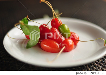 グミの実 2893165