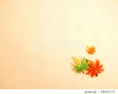 手作り紙ねんどの紅葉狩り 2893272