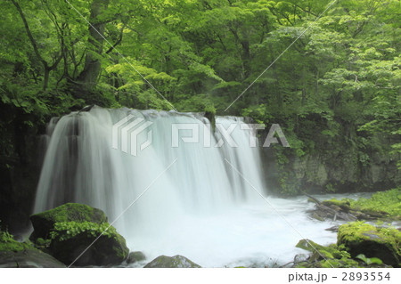 奥入瀬渓流の銚子大滝 奥入瀬渓流の銚子大滝 2893554