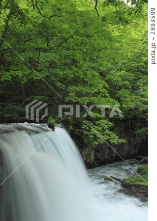 奥入瀬渓流の銚子大滝 奥入瀬渓流の銚子大滝 2893599