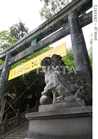 金刀比羅宮参道.桜馬場西詰.銅鳥居と狛犬 2893871