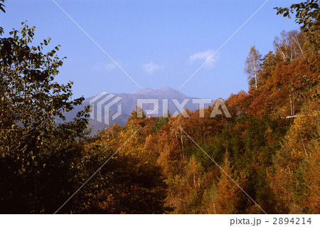 野麦街道・秋 2894214