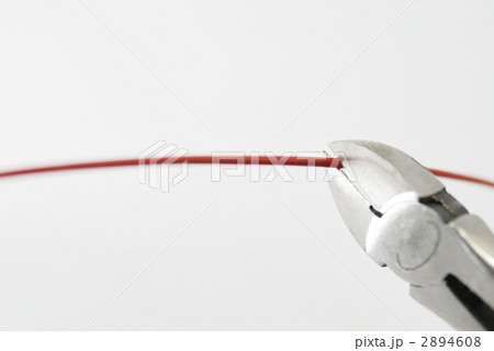 2894608