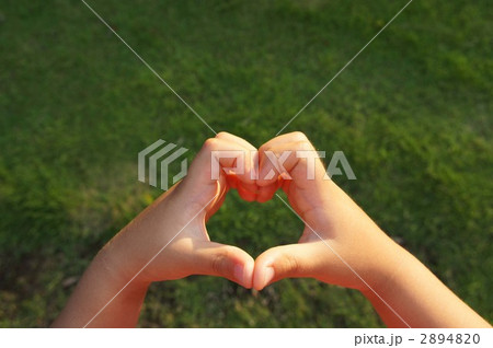 ハート型（中央・小） 2894820