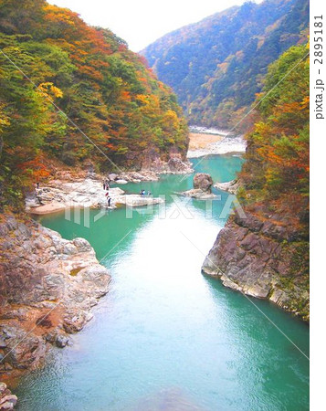 紅葉の龍王峡 2895181