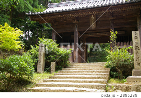 円教寺　仁王門 2895239