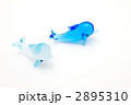 イルカ 2895310