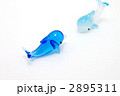 イルカ 2895311