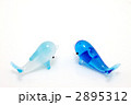イルカ 2895312