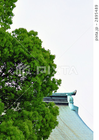 明治神宮 2895489