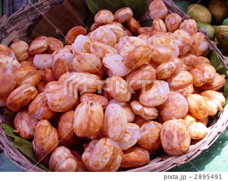 市場で売られる食材（カロー／ミャンマー） 2895491