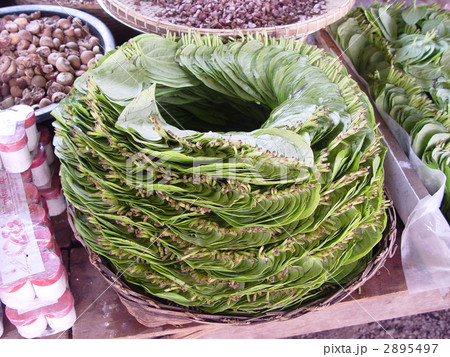 市場で売られる「キンマの葉」（カロー／ミャンマー）の写真素材 [2895497] - PIXTA