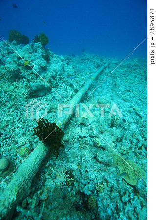 海底ケーブル 電話線 海中の写真素材
