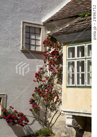 ルスト村のラートハウス広場 2896752