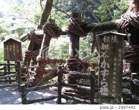 かずら橋 2897492