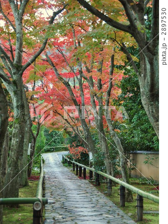 夕暮れの光悦寺 夕暮れの光悦寺 2897530