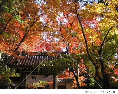 秋の光明寺 秋の光明寺 2897536