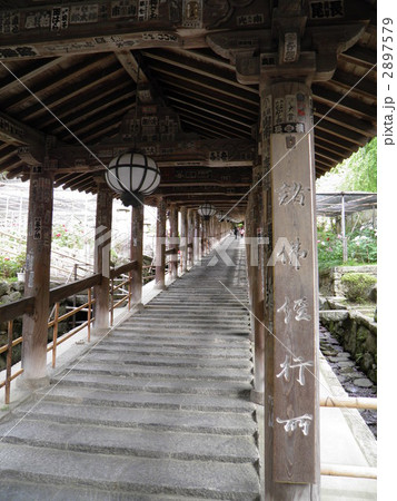 花の寺　長谷寺　登廊 2897579