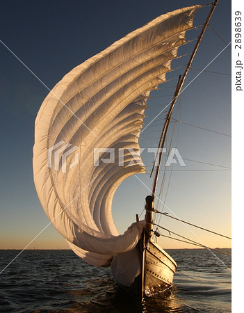 金色に染まる帆引き船 2898639