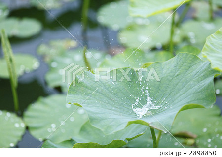 弾ける水しぶき 2898850