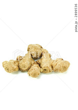 国産三州生姜・白バック・縦位置 2899536