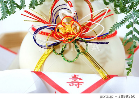 簡易鏡餅アップ横位置 2899560