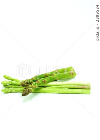 アスパラガス２種白バック縦位置 2899584