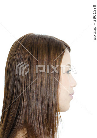 ロングヘアの女性 ロングヘアの女性 2901539