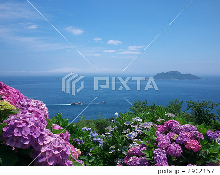 紫陽花と海 2902157