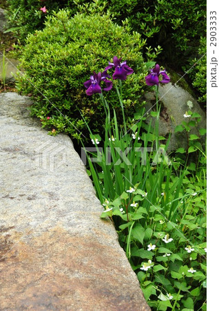 京都　亀岡　神蔵寺の庭園 2903333